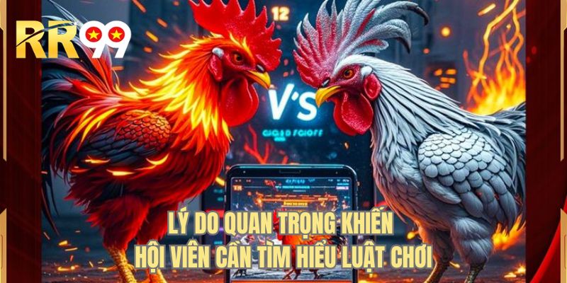 Lý do quan trọng khiến hội viên cần tìm hiểu luật chơi