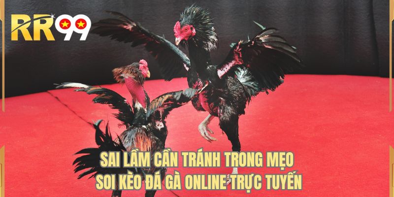 Sai lầm cần tránh trong mẹo soi kèo đá gà online trực tuyến