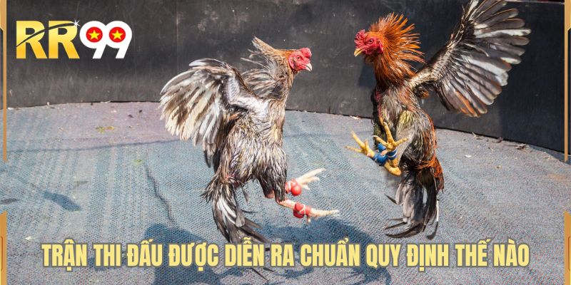 Trận thi đấu được diễn ra chuẩn quy định thế nào